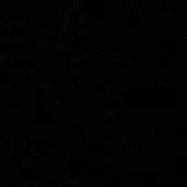Dark mottled texture with irregular shapes and varying densities, creating a subtle organic pattern across a uniformly dark, flat background.